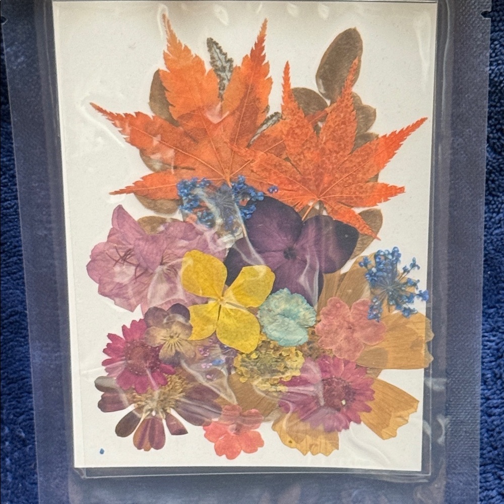 Pressed Flower Art Card - Mixed Autumn Colors